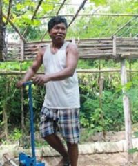 A model farmer for agro-ecology