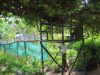 Mr. Ros Mao's homegarden