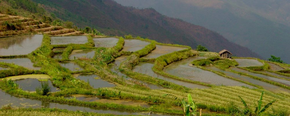 Consultancies, Myanmar, Chin State, GRET