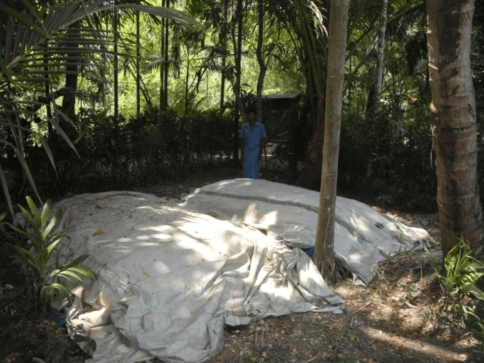 Fast Rice Straw Composting, Ayeyarwady Delta, Myanmar