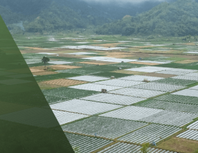 ANDE ESEA Sustainable Agriculture Learning Lab #5, 22 November 2019, Cambodia