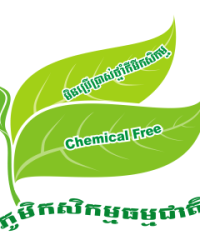 ALiSEA SGF: Promoting organic vegetables through customer engagement in Participatory Guarantee Systems (PGS)