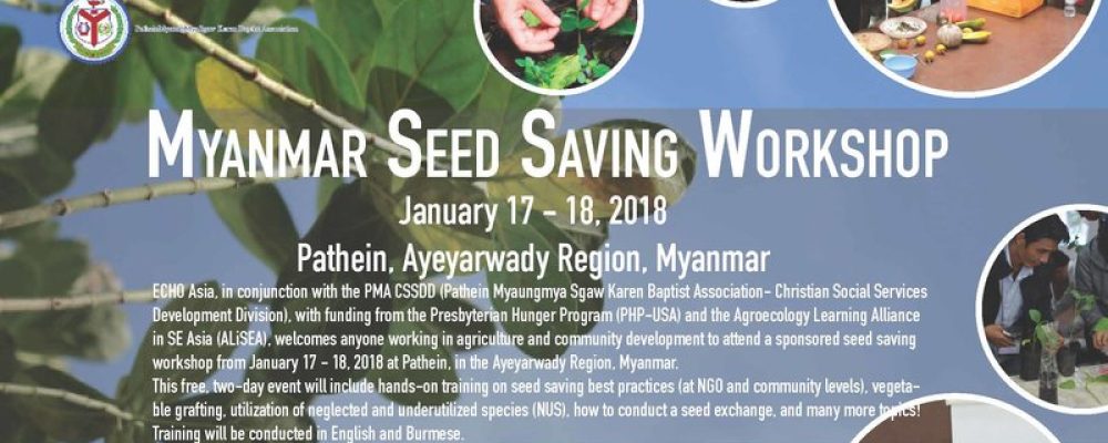 Myanmar seed saving workshop, January 17 – 18, 2018, Pathein, Ayeyarwady Region