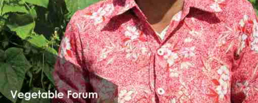Laos Vegetable Forum 2017: Fostering a safe and sustainable vegetable sector