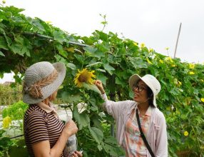 Conservation of SEED