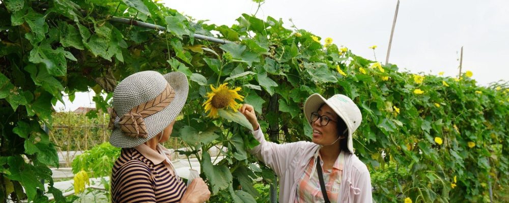 Conservation of SEED
