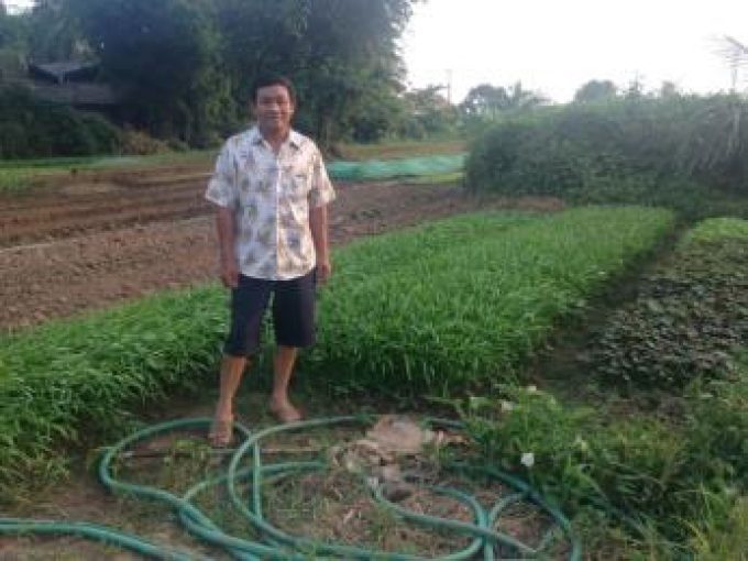 Vientiane Organic Vegetable Producer Group (1)