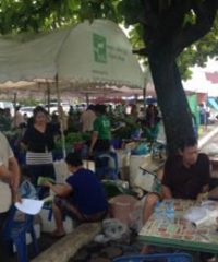 Vientiane Organic Vegetable Producer Group (2)