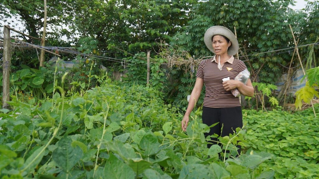 Conservation of SEED